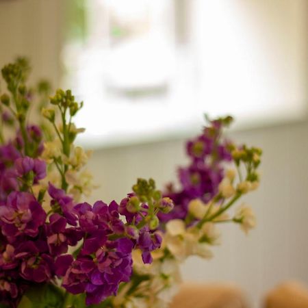 The Potting Shed, 5* Luxury Escape Cirencester Dış mekan fotoğraf